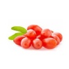baies_de_goji