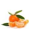 clementines_feuilles