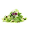 mesclun