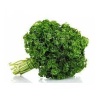persil_frise_botte_1675834243