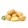 pomme_de_terre_agata