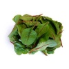 red_chard