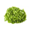 salade_feuille_de_chene_verte