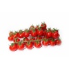 tomate_cerise_grappe