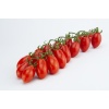tomate_daterino