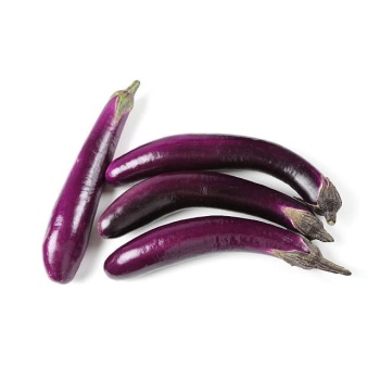 aubergine_japonaise