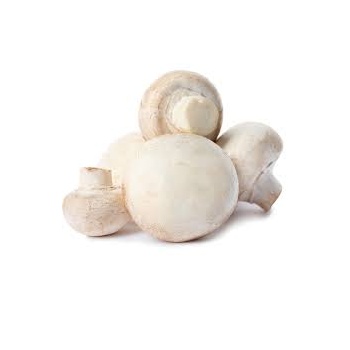 champignons_blancs