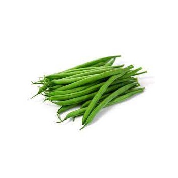 haricot_vert_1162060317