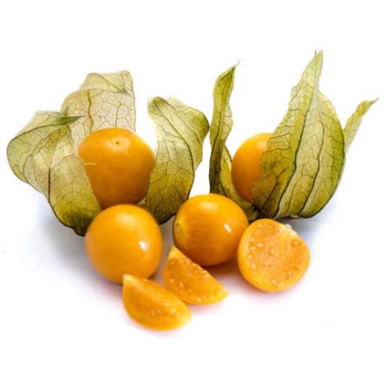 physalis_bq_100g__x_12